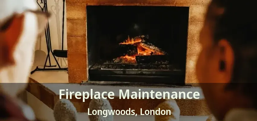 Fireplace Maintenance Longwoods, London - ON Fireplace Maintenance Longwoods, London - ON