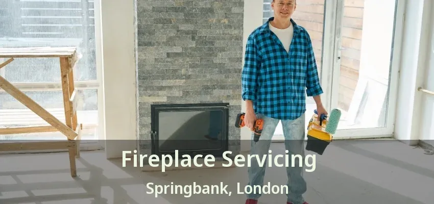 Fireplace Servicing Springbank, London - ON Fireplace Servicing Springbank, London - ON