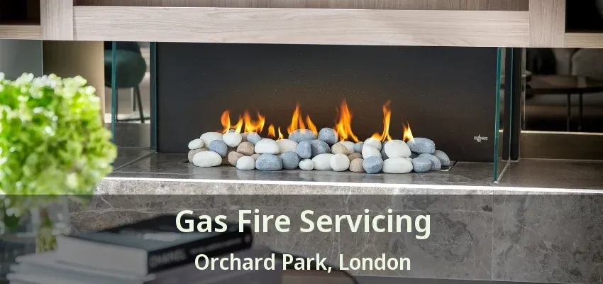 Gas Fire Servicing Orchard Park, London - ON
