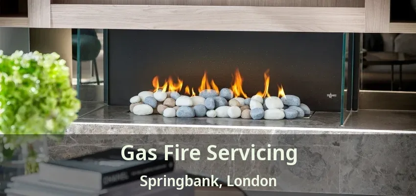 Gas Fire Servicing Springbank, London - ON Gas Fire Servicing Springbank, London - ON