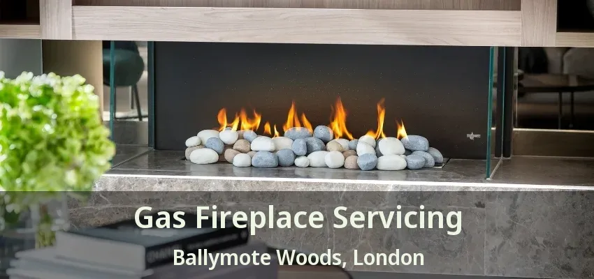 Gas Fireplace Servicing Ballymote Woods, London - ON Gas Fireplace Servicing Ballymote Woods, London - ON