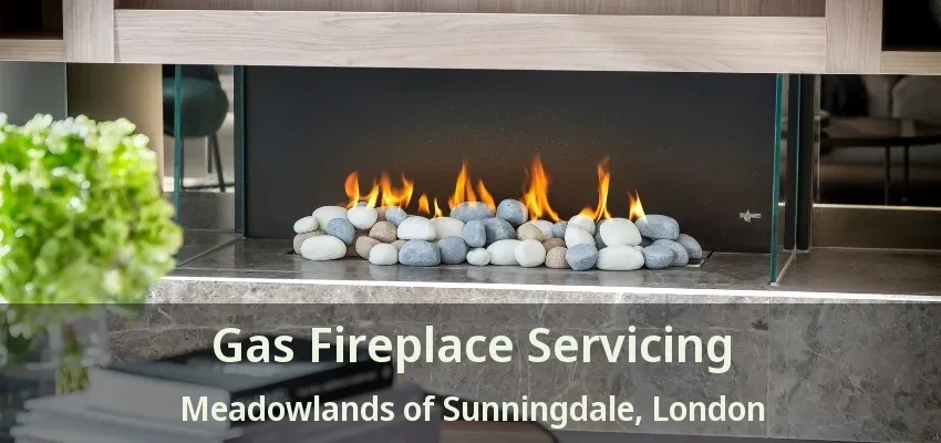 Gas Fireplace Servicing Meadowlands of Sunningdale, London - ON