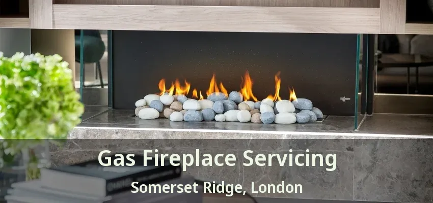 Gas Fireplace Servicing Somerset Ridge, London - ON