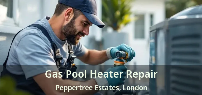 Gas Pool Heater Repair Peppertree Estates, London - ON Gas Pool Heater Repair Peppertree Estates, London - ON