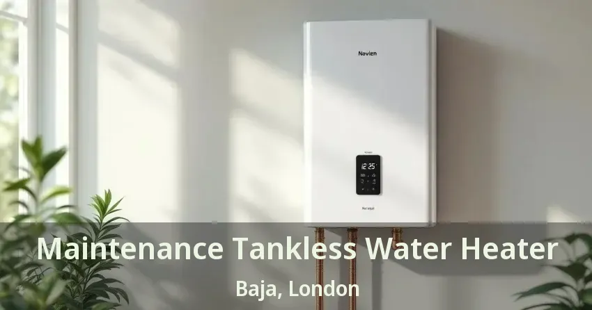 Maintenance Tankless Water Heater Baja, London - ON Maintenance Tankless Water Heater Baja, London - ON