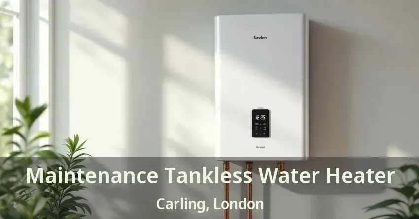 Maintenance Tankless Water Heater Carling, London - ON Maintenance Tankless Water Heater Carling, London - ON