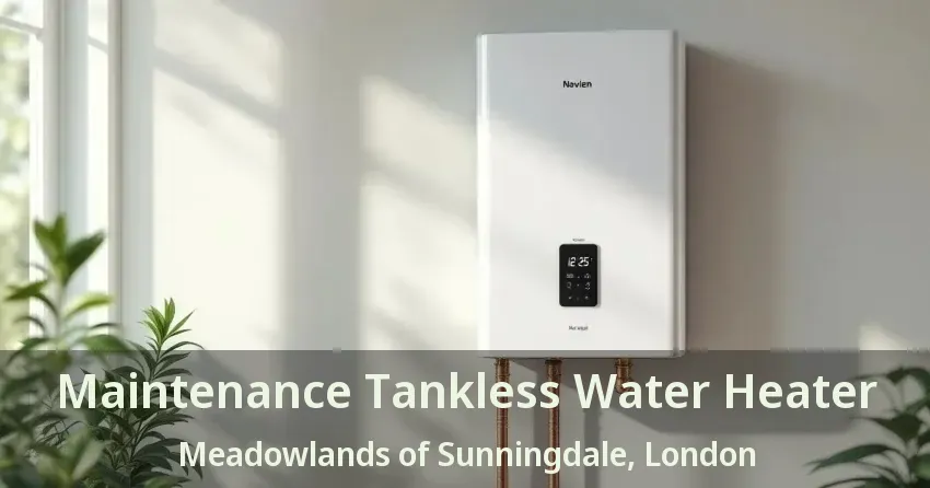 Maintenance Tankless Water Heater Meadowlands of Sunningdale, London - ON Maintenance Tankless Water Heater Meadowlands of Sunningdale, London - ON