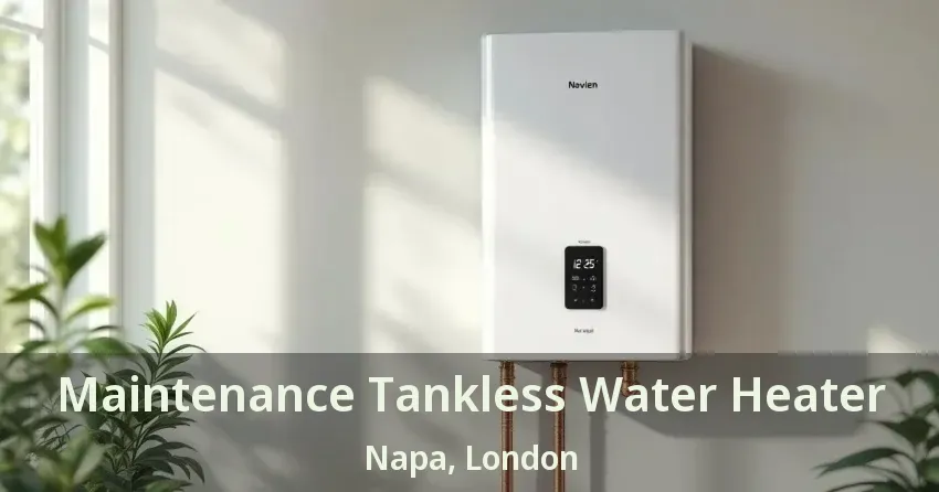 Maintenance Tankless Water Heater Napa, London - ON Maintenance Tankless Water Heater Napa, London - ON