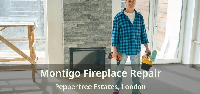 Montigo Fireplace Repair Peppertree Estates, London - ON Montigo Fireplace Repair Peppertree Estates, London - ON