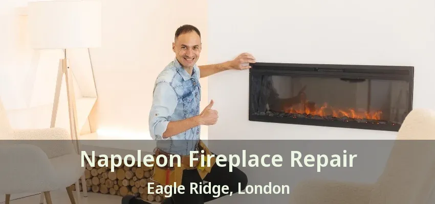 Napoleon Fireplace Repair Eagle Ridge, London - ON Napoleon Fireplace Repair Eagle Ridge, London - ON