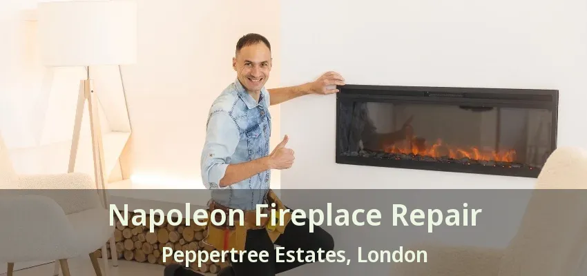 Napoleon Fireplace Repair Peppertree Estates, London - ON Napoleon Fireplace Repair Peppertree Estates, London - ON