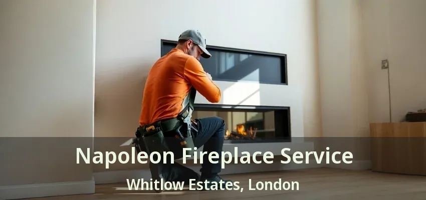 Napoleon Fireplace Service Whitlow Estates, London - ON Napoleon Fireplace Service Whitlow Estates, London - ON