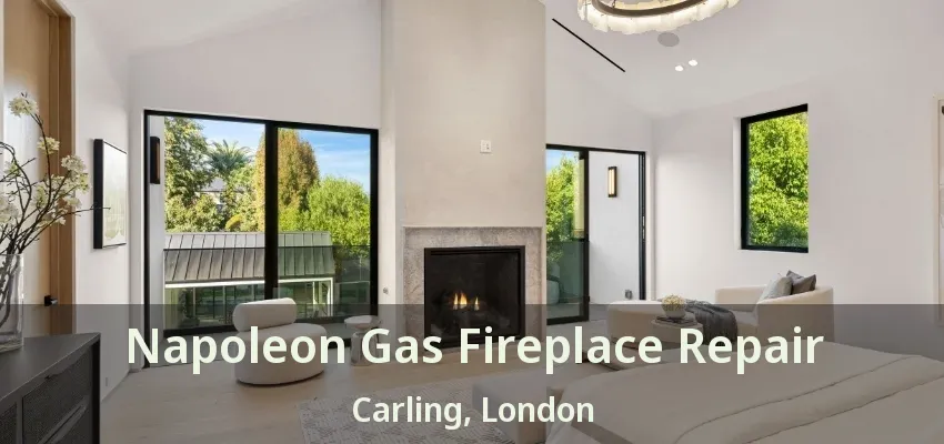 Napoleon Gas Fireplace Repair Carling, London - ON Napoleon Gas Fireplace Repair Carling, London - ON