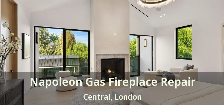 Napoleon Gas Fireplace Repair Central, London - ON Napoleon Gas Fireplace Repair Central, London - ON