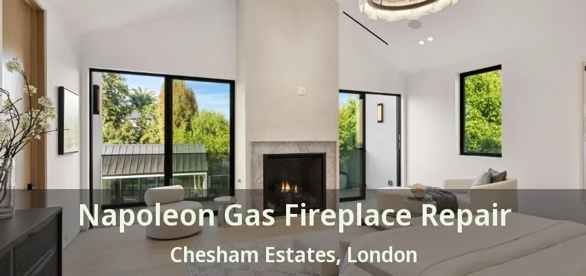 Napoleon Gas Fireplace Repair Chesham Estates, London - ON Napoleon Gas Fireplace Repair Chesham Estates, London - ON