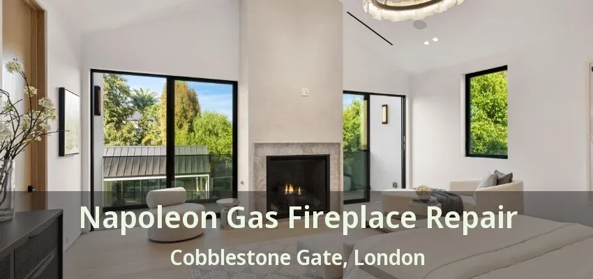 Napoleon Gas Fireplace Repair Cobblestone Gate, London - ON Napoleon Gas Fireplace Repair Cobblestone Gate, London - ON