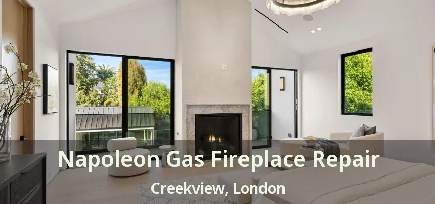 Napoleon Gas Fireplace Repair Creekview, London - ON Napoleon Gas Fireplace Repair Creekview, London - ON