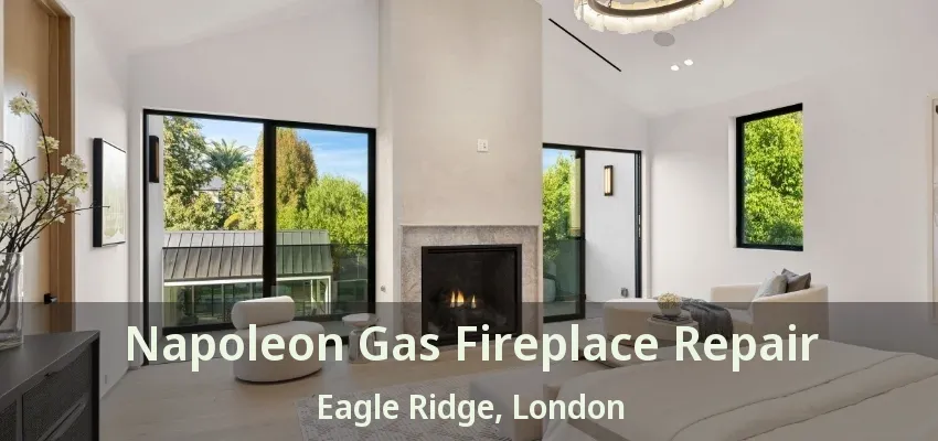 Napoleon Gas Fireplace Repair Eagle Ridge, London - ON Napoleon Gas Fireplace Repair Eagle Ridge, London - ON