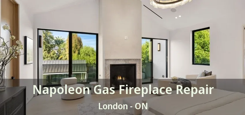 Napoleon Gas Fireplace Repair London - ON Napoleon Gas Fireplace Repair London - ON