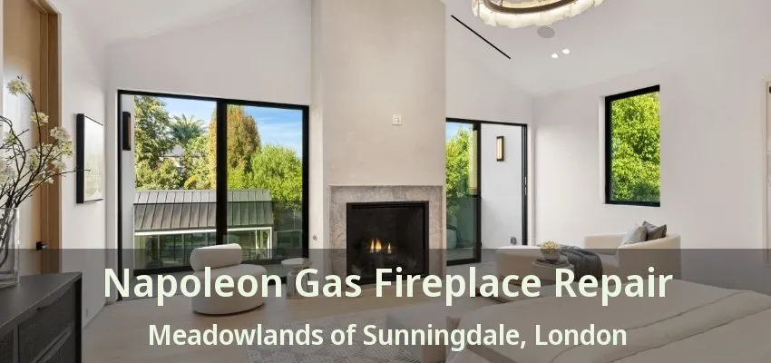 Napoleon Gas Fireplace Repair Meadowlands of Sunningdale, London - ON Napoleon Gas Fireplace Repair Meadowlands of Sunningdale, London - ON