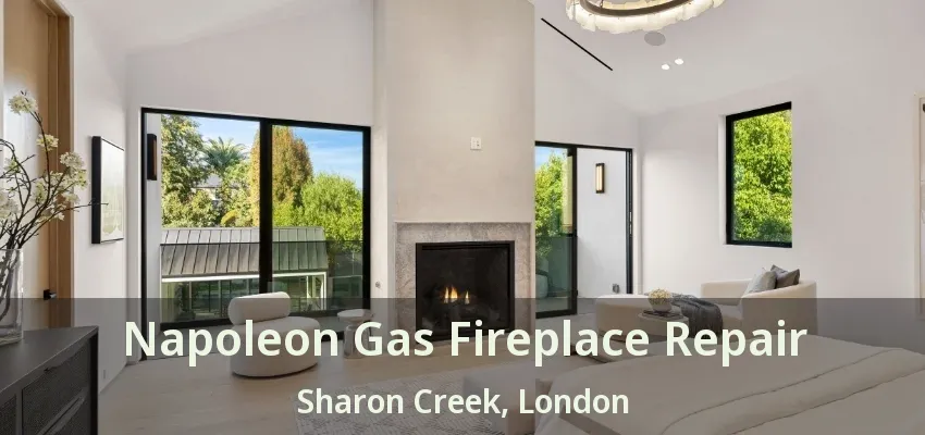Napoleon Gas Fireplace Repair Sharon Creek, London - ON Napoleon Gas Fireplace Repair Sharon Creek, London - ON