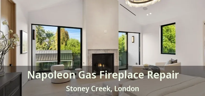 Napoleon Gas Fireplace Repair Stoney Creek, London - ON Napoleon Gas Fireplace Repair Stoney Creek, London - ON
