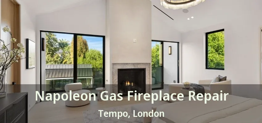 Napoleon Gas Fireplace Repair Tempo, London - ON Napoleon Gas Fireplace Repair Tempo, London - ON