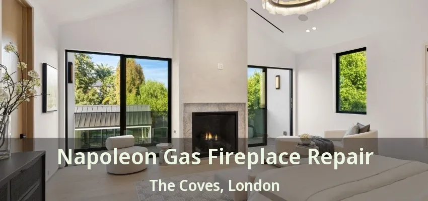 Napoleon Gas Fireplace Repair The Coves, London - ON Napoleon Gas Fireplace Repair The Coves, London - ON