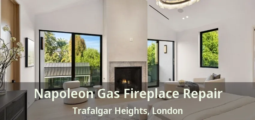 Napoleon Gas Fireplace Repair Trafalgar Heights, London - ON Napoleon Gas Fireplace Repair Trafalgar Heights, London - ON