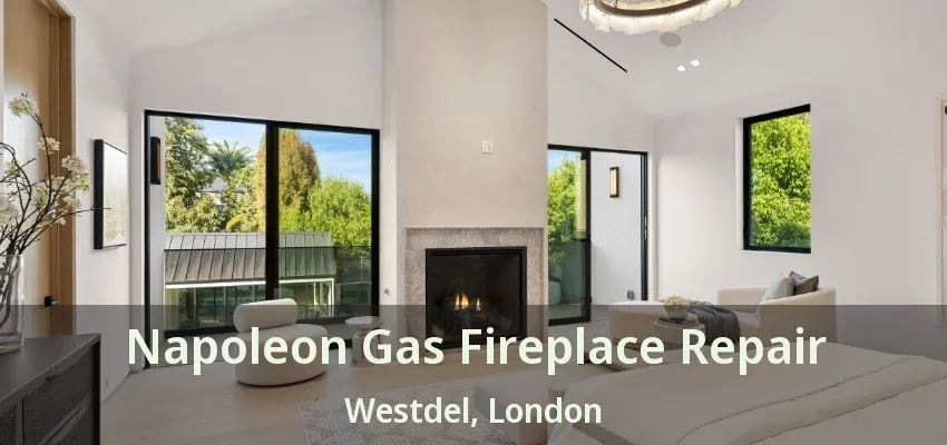 Napoleon Gas Fireplace Repair Westdel, London - ON Napoleon Gas Fireplace Repair Westdel, London - ON