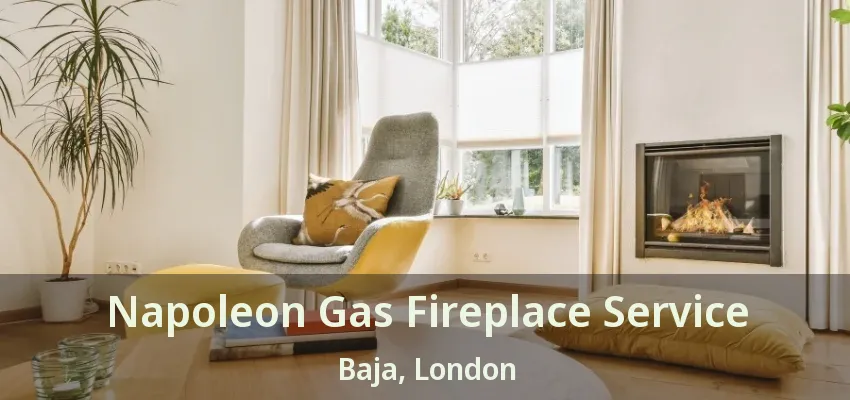 Napoleon Gas Fireplace Service Baja, London - ON Napoleon Gas Fireplace Service Baja, London - ON