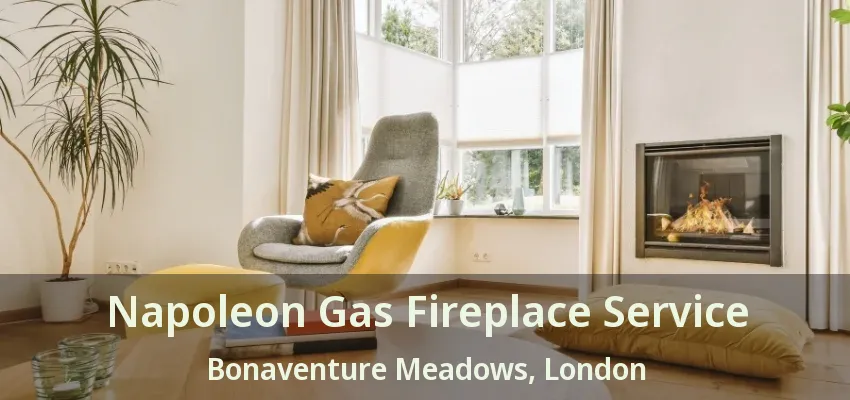 Napoleon Gas Fireplace Service Bonaventure Meadows, London - ON Napoleon Gas Fireplace Service Bonaventure Meadows, London - ON