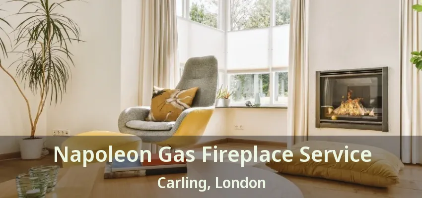 Napoleon Gas Fireplace Service Carling, London - ON Napoleon Gas Fireplace Service Carling, London - ON