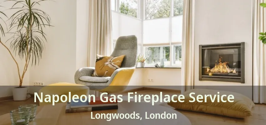 Napoleon Gas Fireplace Service Longwoods, London - ON Napoleon Gas Fireplace Service Longwoods, London - ON