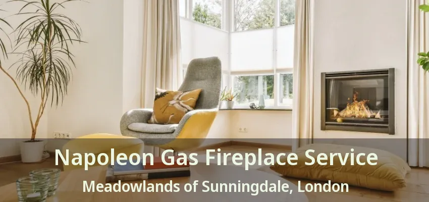 Napoleon Gas Fireplace Service Meadowlands of Sunningdale, London - ON Napoleon Gas Fireplace Service Meadowlands of Sunningdale, London - ON