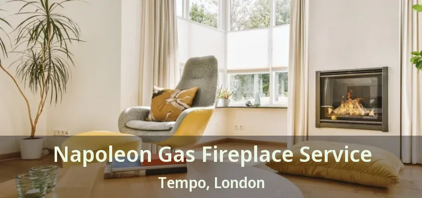 Napoleon Gas Fireplace Service Tempo, London - ON Napoleon Gas Fireplace Service Tempo, London - ON
