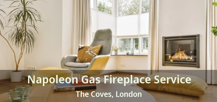 Napoleon Gas Fireplace Service The Coves, London - ON Napoleon Gas Fireplace Service The Coves, London - ON
