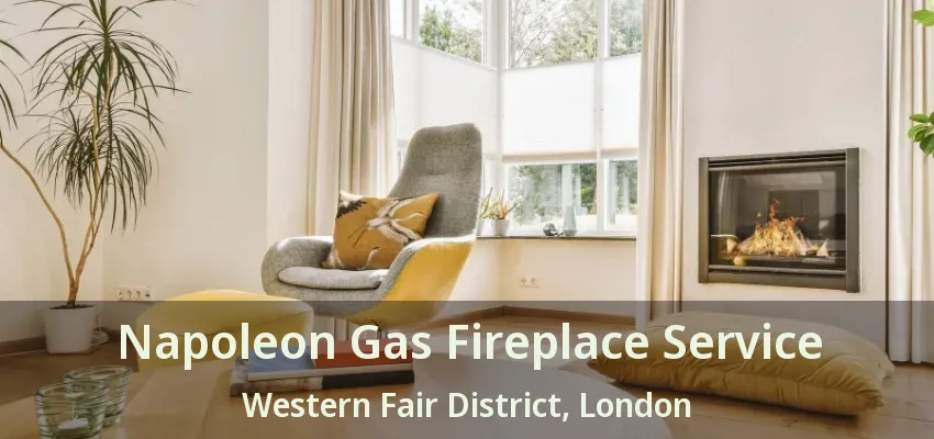 Napoleon Gas Fireplace Service Western Fair District, London - ON Napoleon Gas Fireplace Service Western Fair District, London - ON