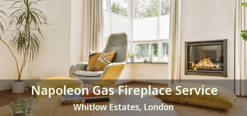 Napoleon Gas Fireplace Service Whitlow Estates, London - ON Napoleon Gas Fireplace Service Whitlow Estates, London - ON