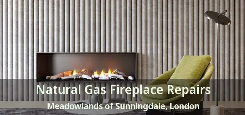Natural Gas Fireplace Repairs Meadowlands of Sunningdale, London - ON Natural Gas Fireplace Repairs Meadowlands of Sunningdale, London - ON