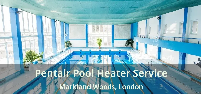 Pentair Pool Heater Service Markland Woods, London - ON