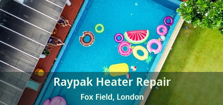 Raypak Heater Repair Fox Field, London - ON