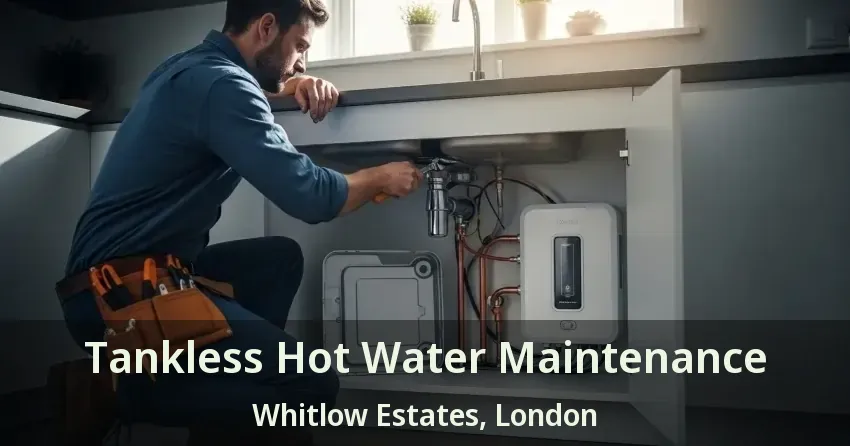 Tankless Hot Water Maintenance Whitlow Estates, London - ON Tankless Hot Water Maintenance Whitlow Estates, London - ON