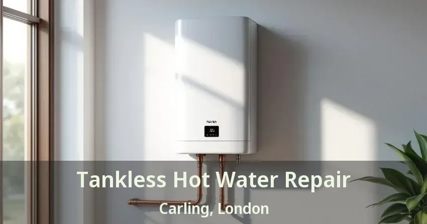 Tankless Hot Water Repair Carling, London - ON Tankless Hot Water Repair Carling, London - ON