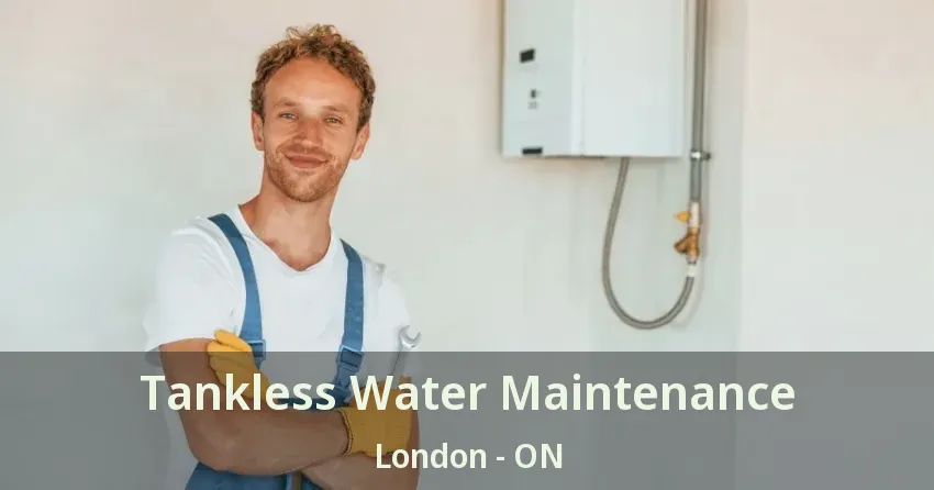 Tankless Water Maintenance London - ON Tankless Water Maintenance London - ON