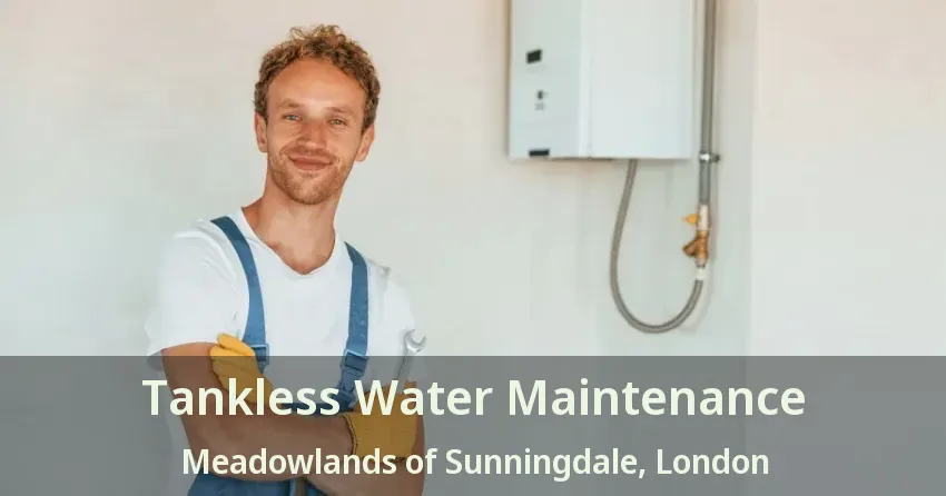 Tankless Water Maintenance Meadowlands of Sunningdale, London - ON Tankless Water Maintenance Meadowlands of Sunningdale, London - ON