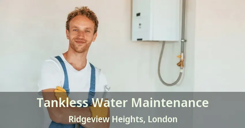 Tankless Water Maintenance Ridgeview Heights, London - ON Tankless Water Maintenance Ridgeview Heights, London - ON