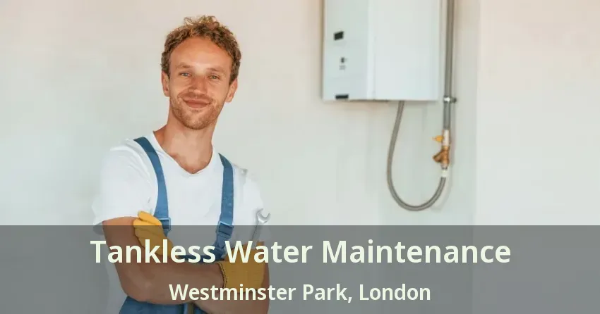 Tankless Water Maintenance Westminster Park, London - ON Tankless Water Maintenance Westminster Park, London - ON