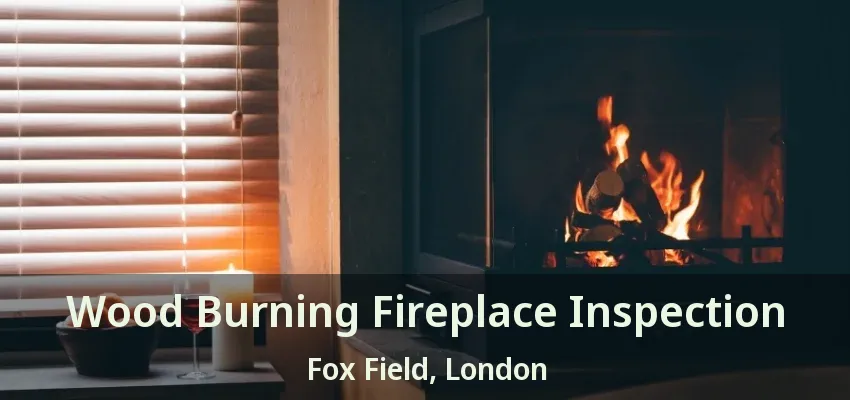Wood Burning Fireplace Inspection Fox Field, London - ON