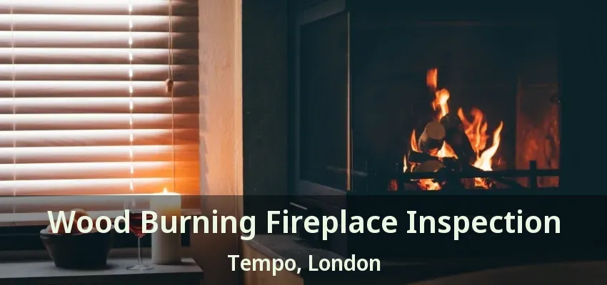 Wood Burning Fireplace Inspection Tempo, London - ON Wood Burning Fireplace Inspection Tempo, London - ON
